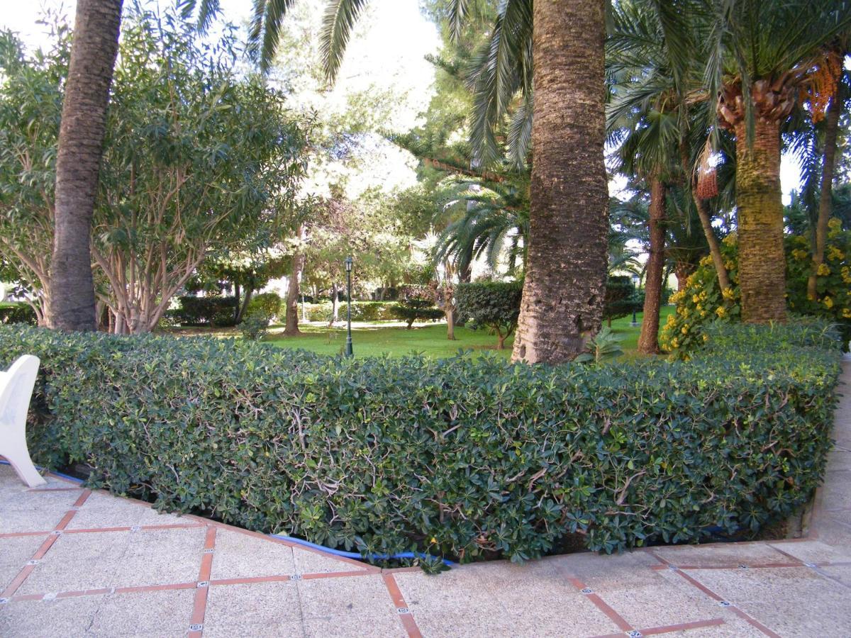 Apartamento Parque Ii, Mnostrum Playa De Gandia Exclusivo Familias Eksteriør billede